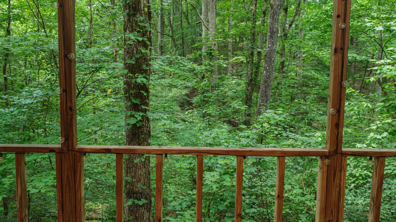 Photo of Others in Blairsville