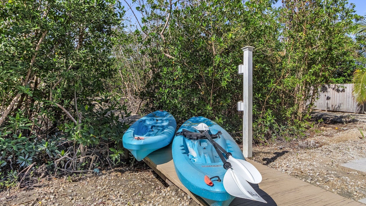 Photo of Outdoor in Mid Island