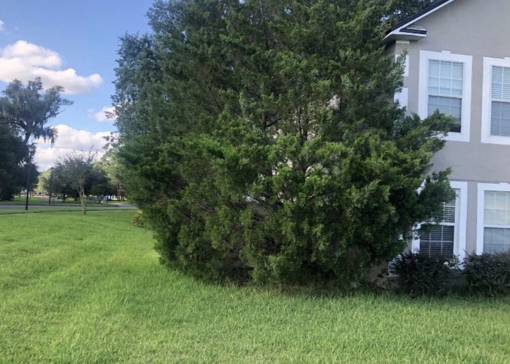 Photo of Outdoor in Northside