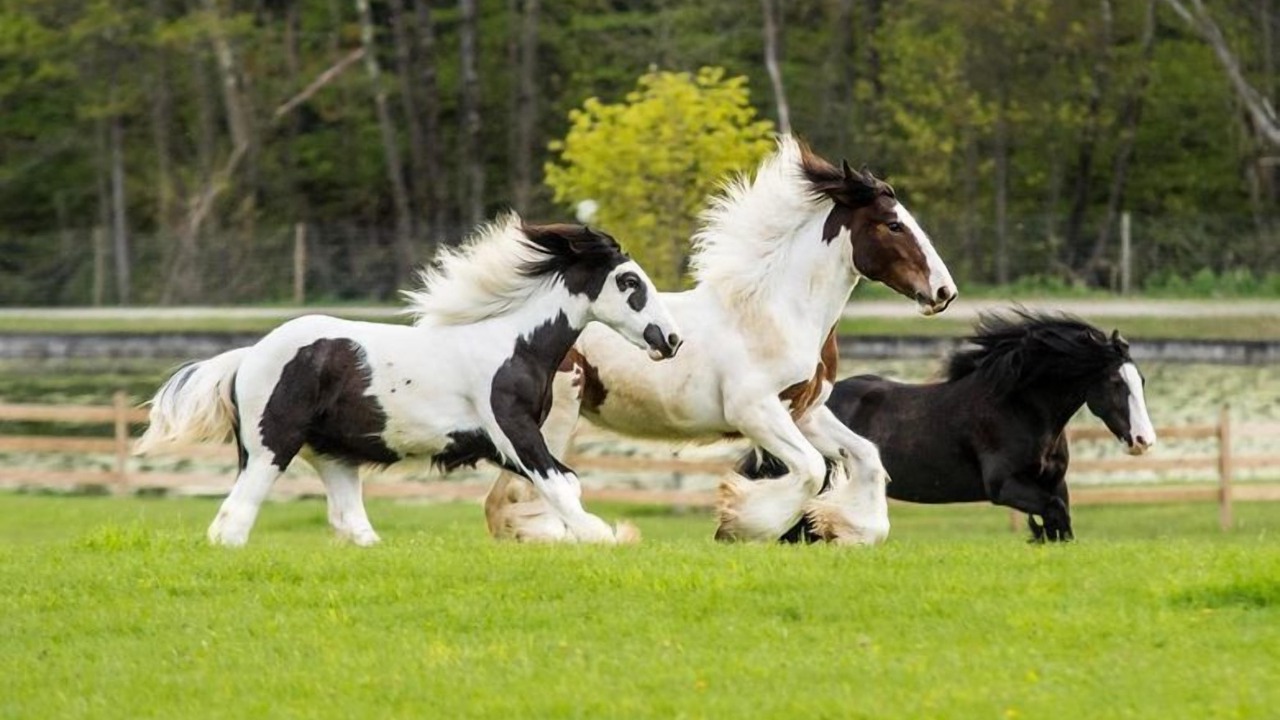 Photo of Others in Ocala