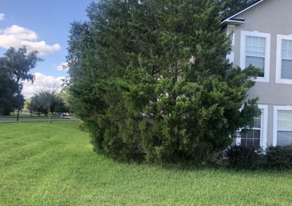 Photo of Outdoor in Northside