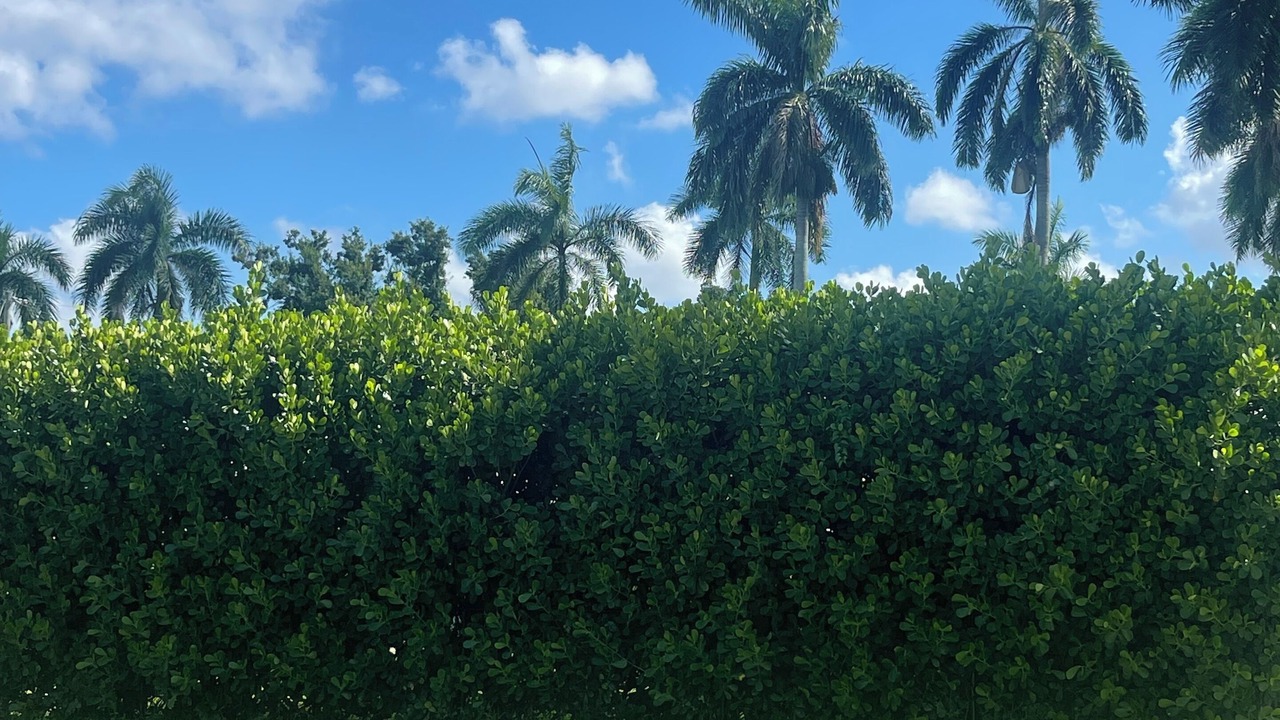 Photo of Outdoor in McGregor