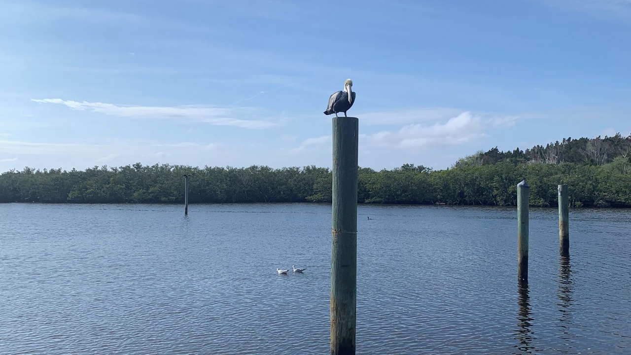 Photo of Others in Ponce Inlet