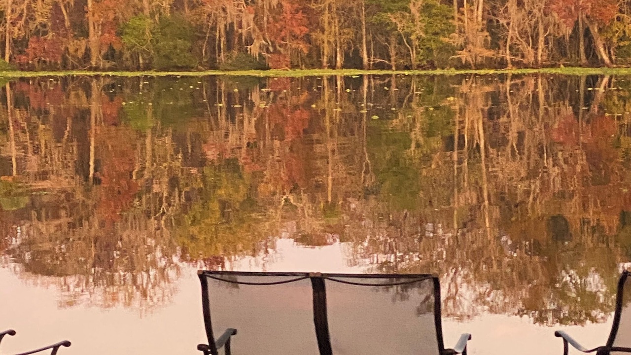 Photo of Outdoor in Pierson