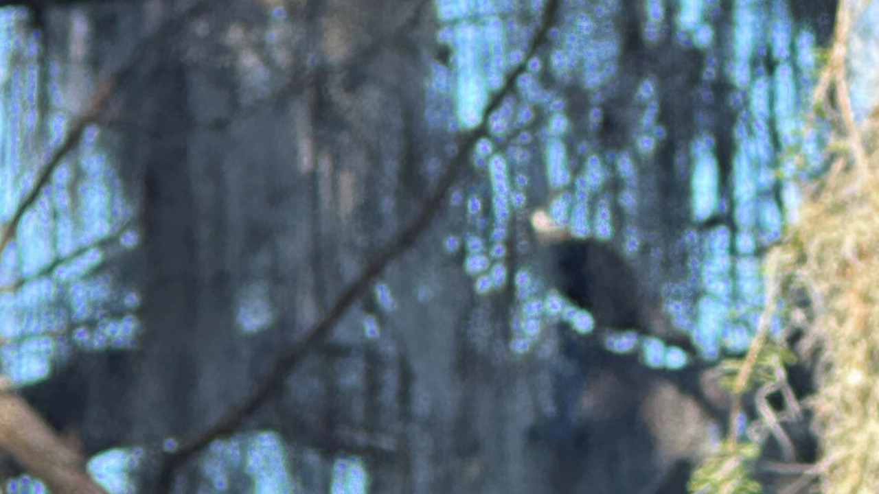 Photo of Others in Pierson