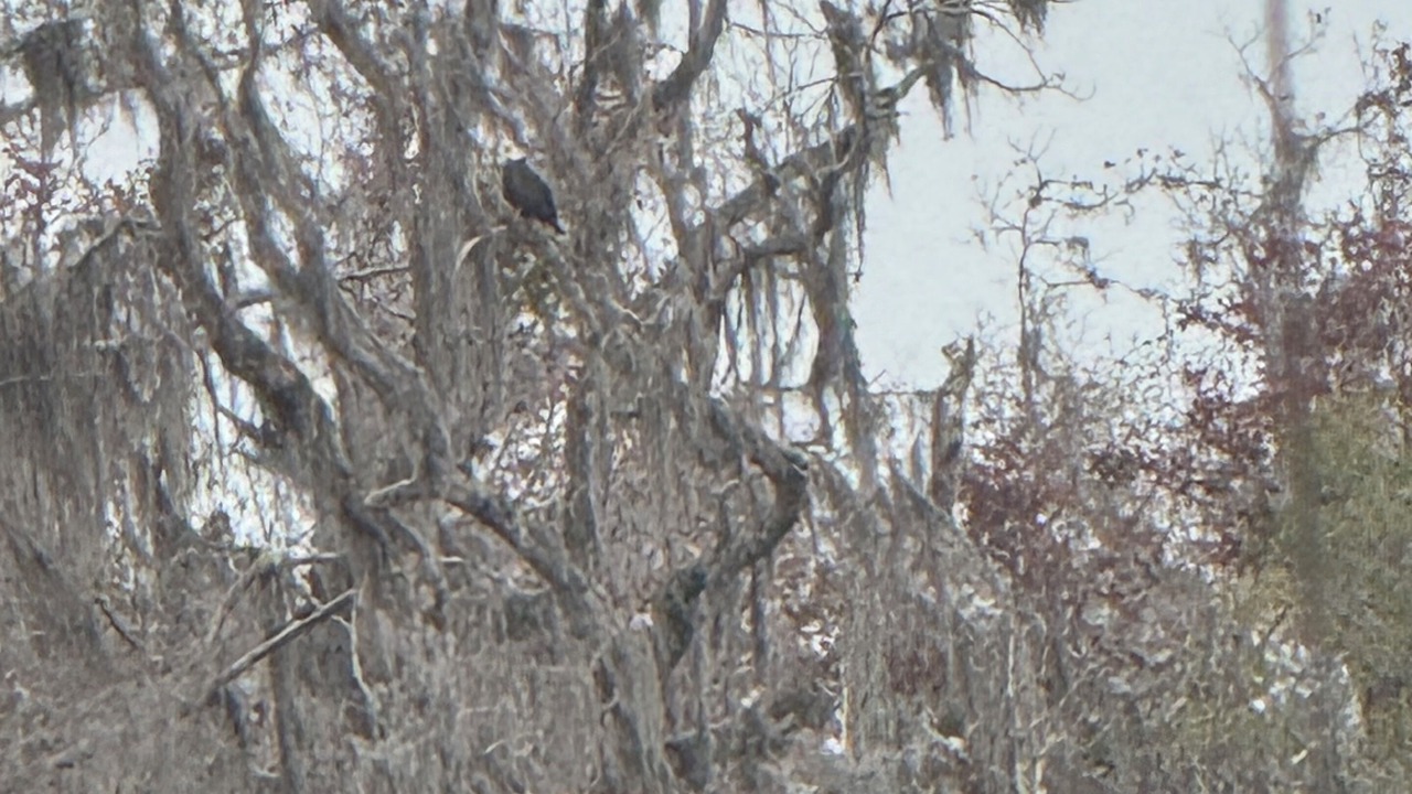 Photo of Others in Pierson