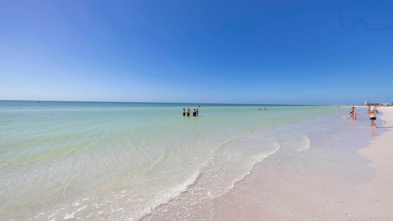 Photo of Others in Siesta Key