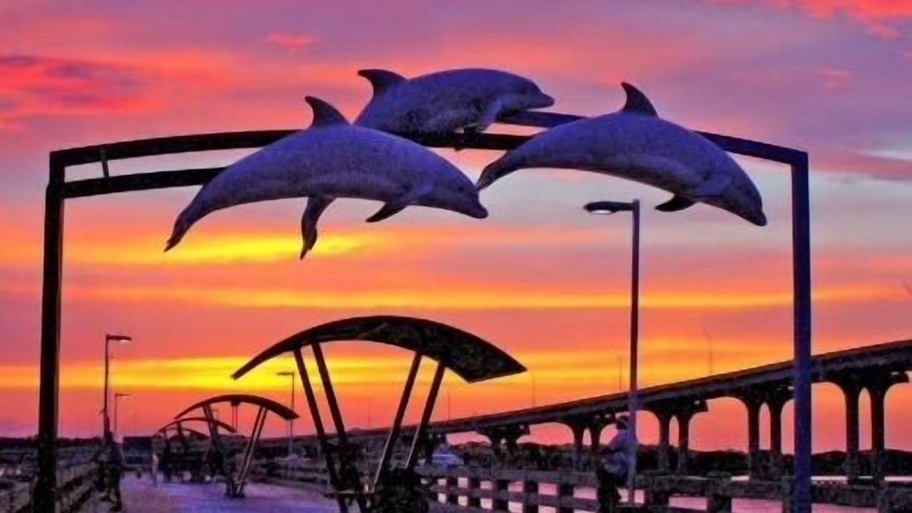 Photo of Others in St. Augustine
