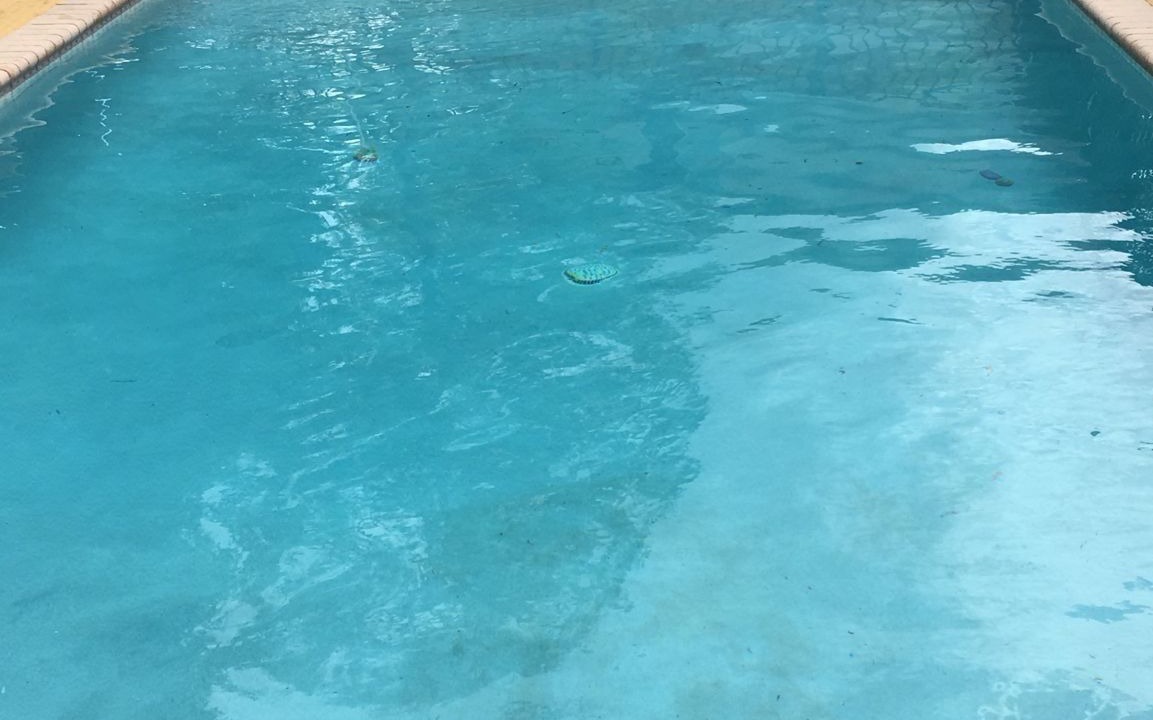 Photo of Outdoor in Greenview Shores