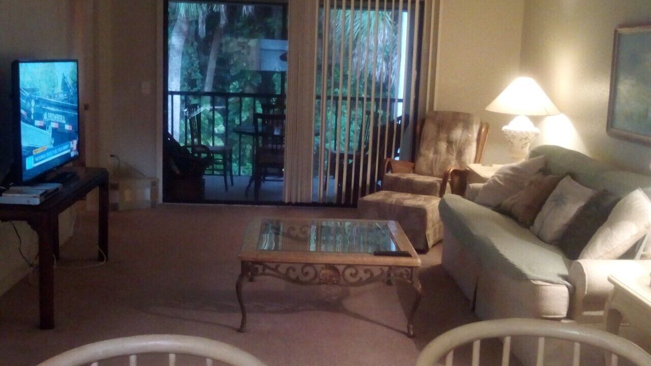 Photo of Livingroom in Pinellas Point