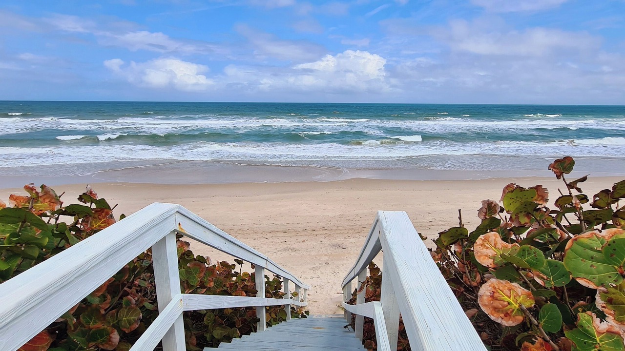 Photo of Others in Melbourne Beach