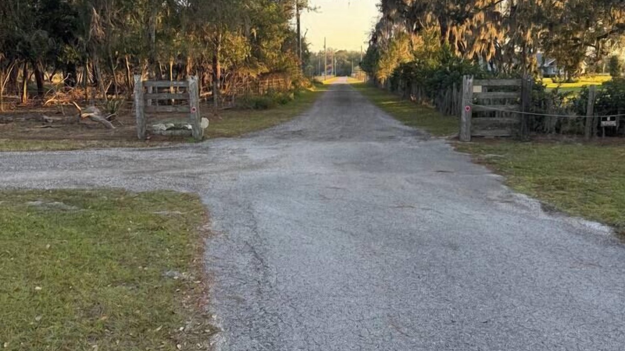 Photo of Others in Plant City
