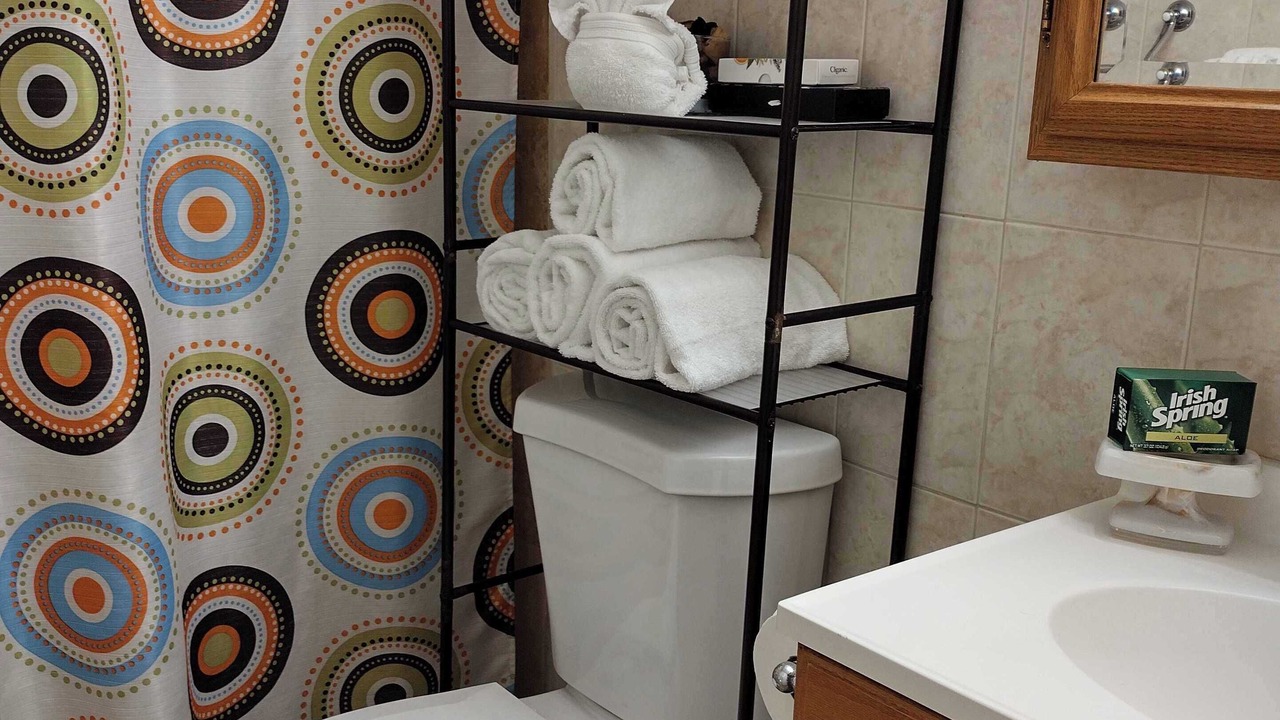 Photo of Bathroom in Tarpon Springs