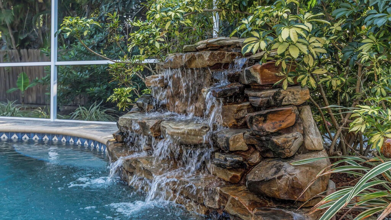 Photo of Outdoor in Safety Harbor
