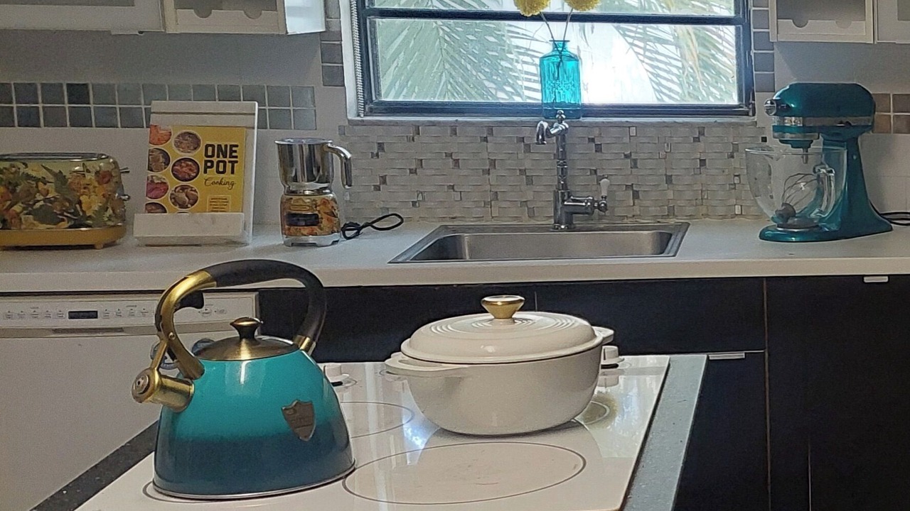 Photo of Kitchen in Temple Terrace