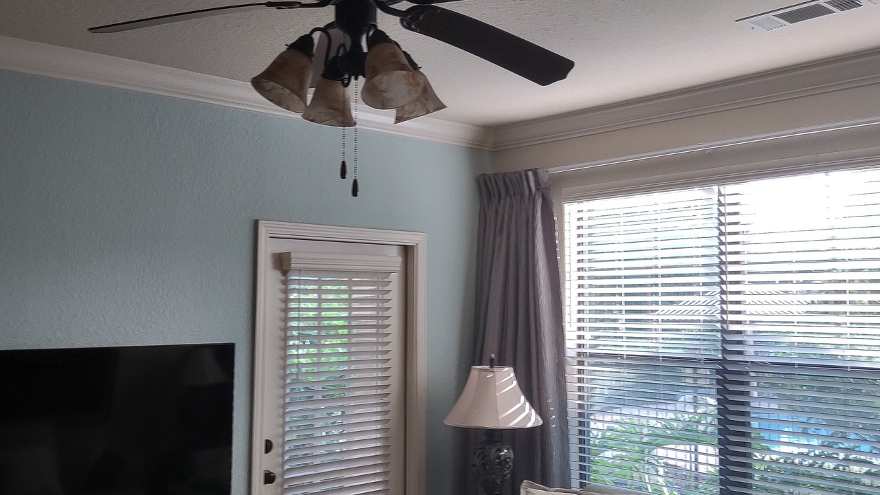 Photo of Bedroom in Wellington