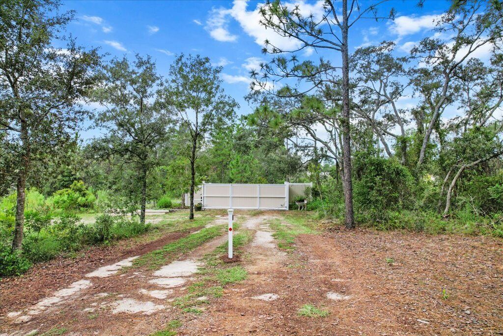Photo of Outdoor in Sugarmill Woods