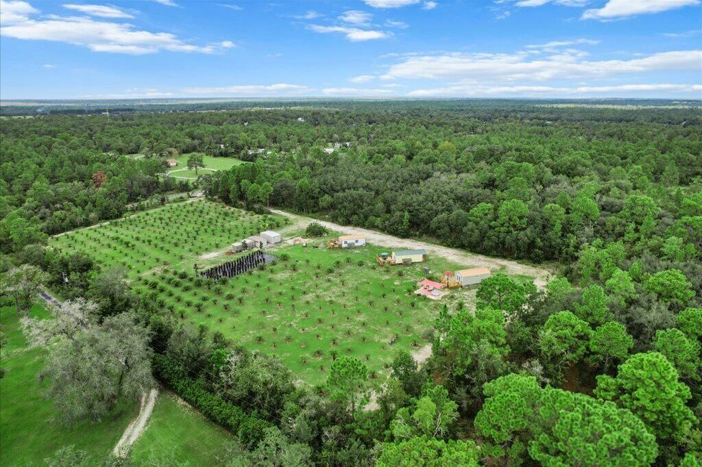 Photo of Outdoor in Sugarmill Woods