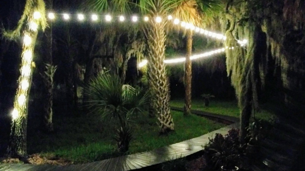 Photo of Outdoor in Homosassa