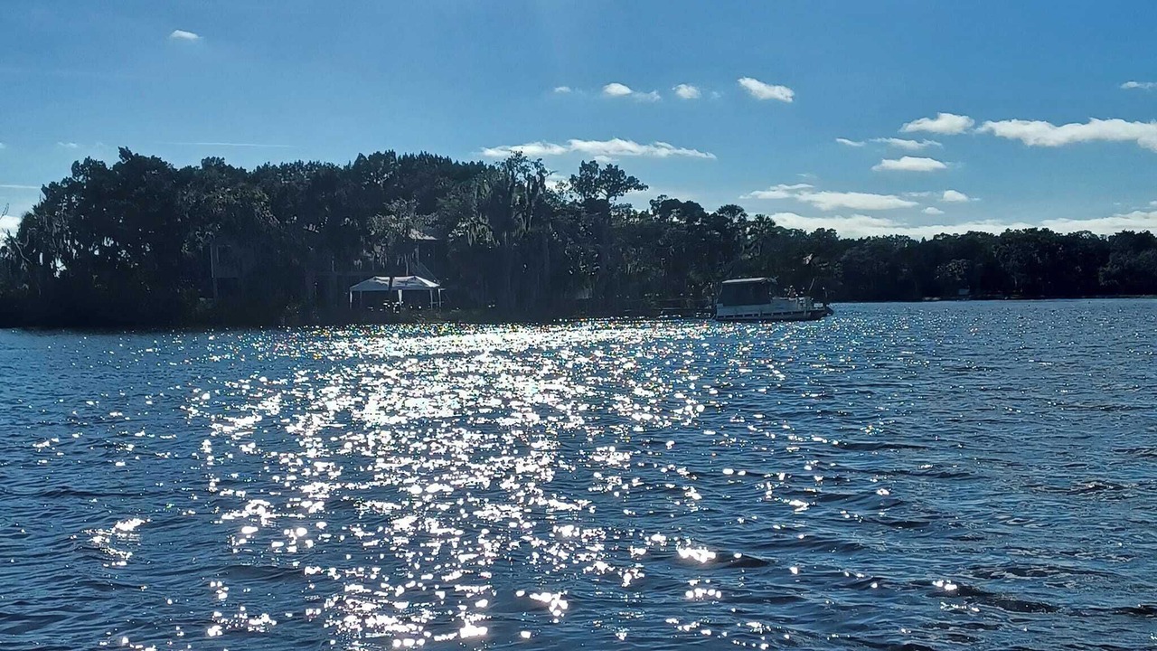 Photo of Others in Homosassa