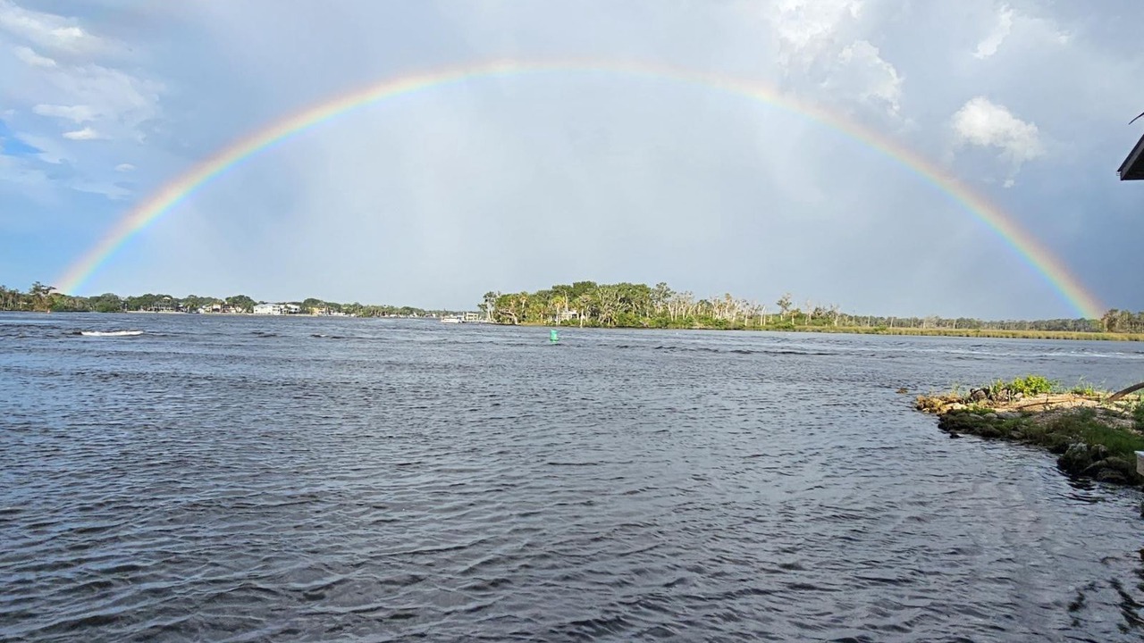 Photo of Others in Homosassa