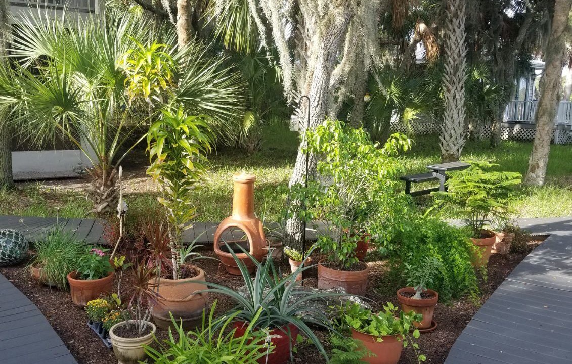 Photo of Outdoor in Homosassa