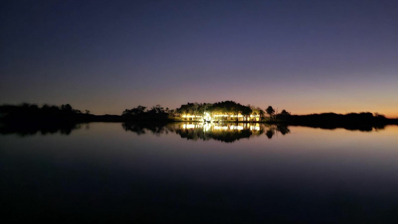 Photo of Others in Homosassa