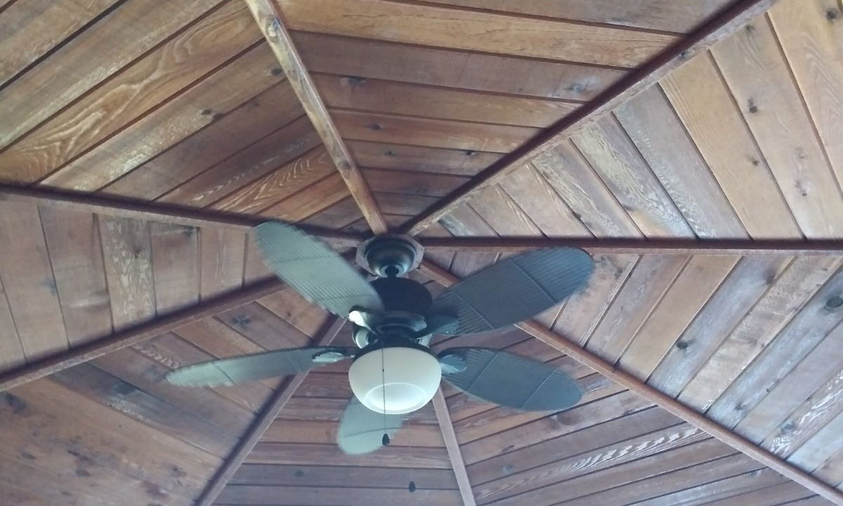 Photo of Others in Homosassa
