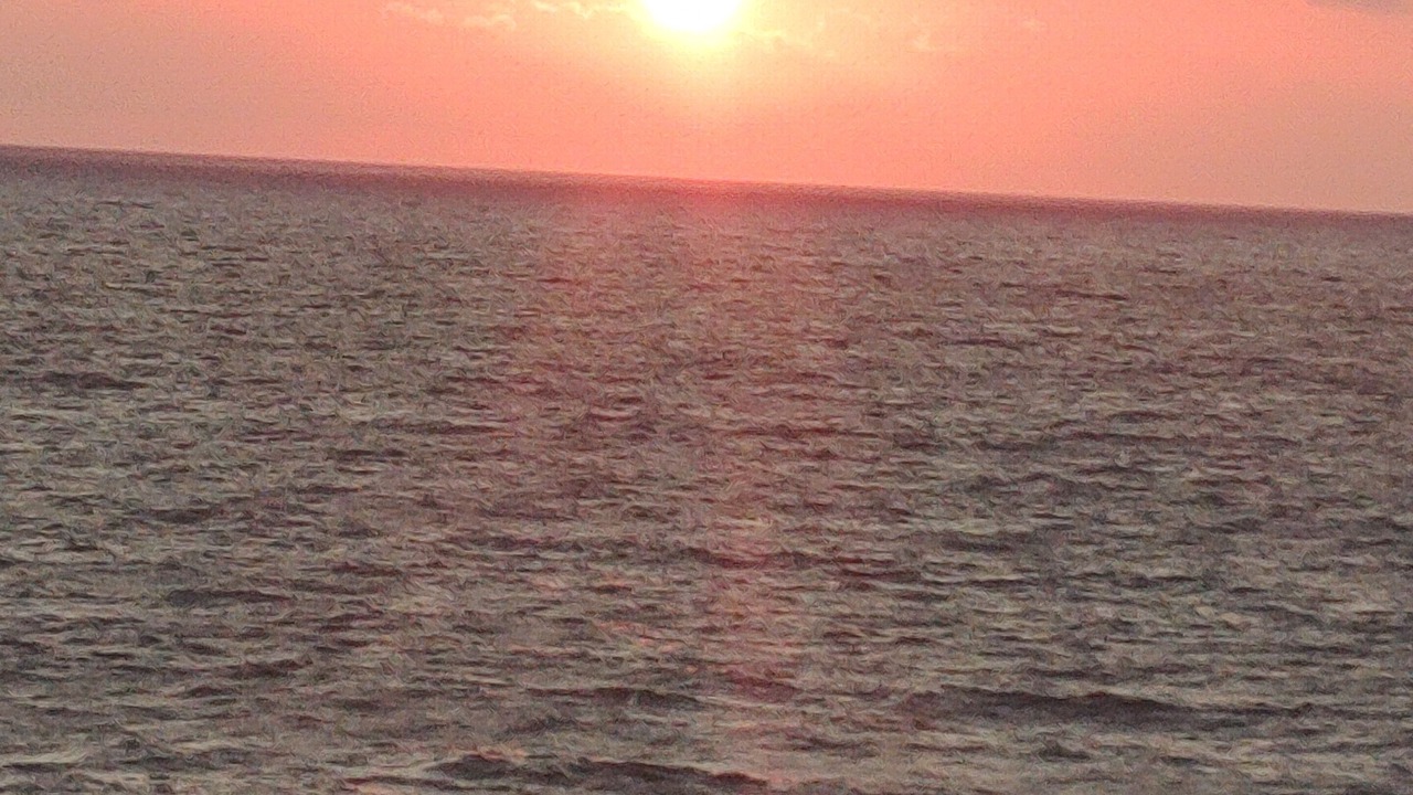 Photo of Others in Port Orange