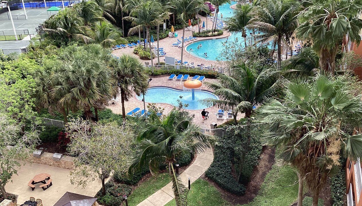 Photo of Outdoor in Weston