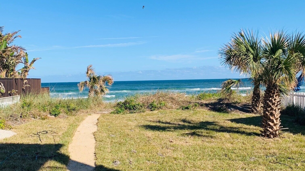 Photo of Others in New Smyrna Beach