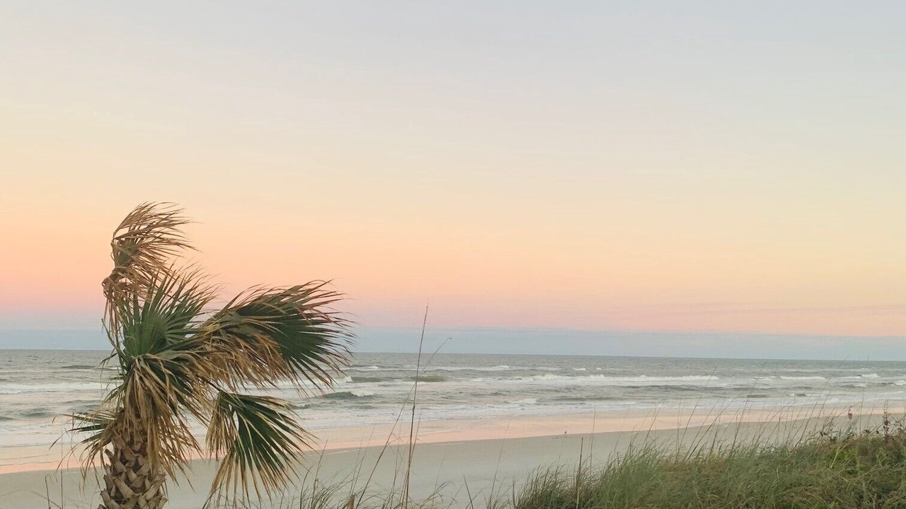 Photo of Others in New Smyrna Beach