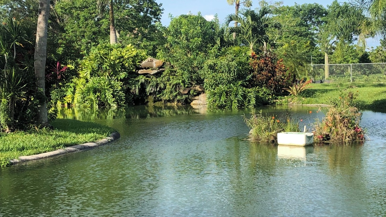 Photo of Others in Homestead