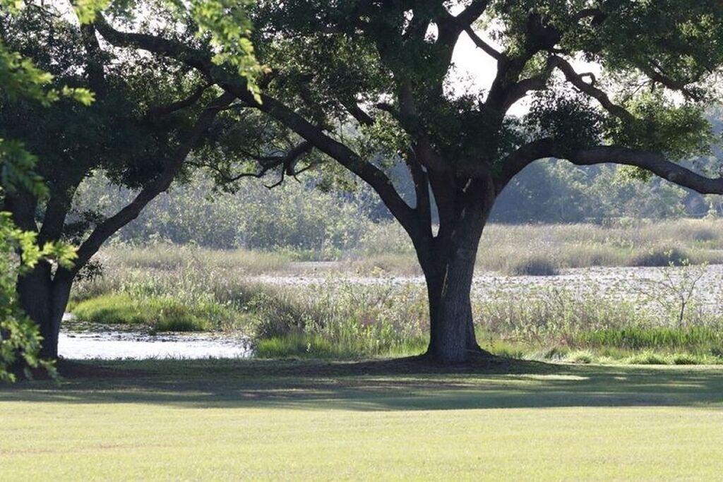 Photo of Others in Clermont