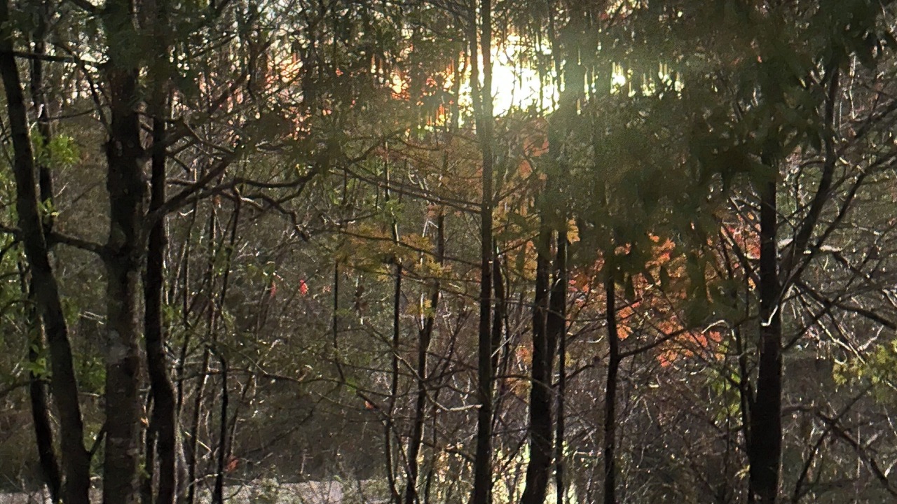 Photo of Others in Brooksville
