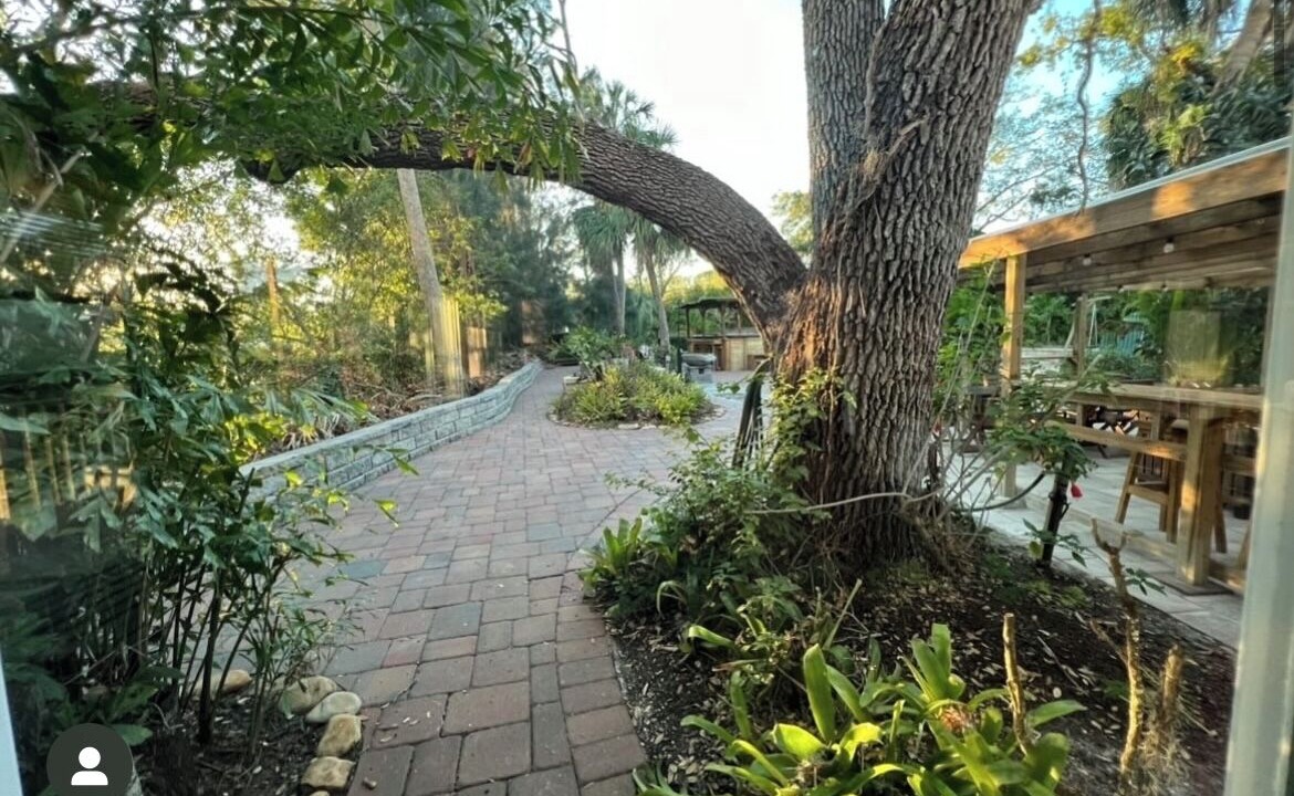 Photo of Patio Balcony in Town N County Park