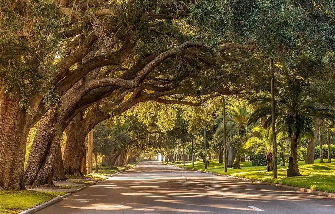 Photo of Others in Plantation
