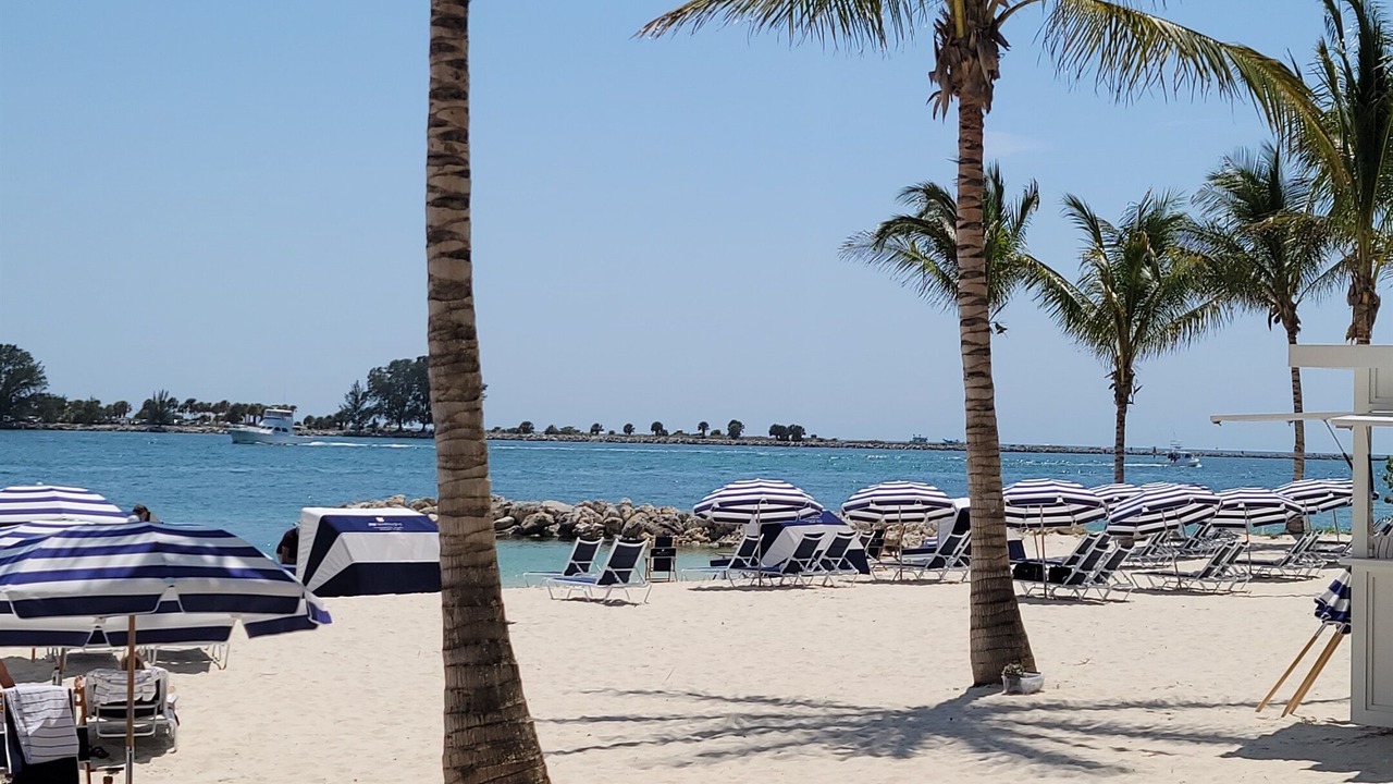 Photo of Others in Sand Key