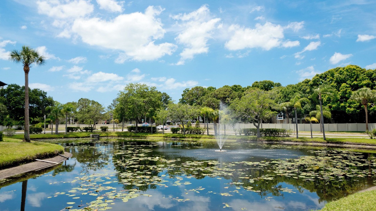 Photo of Others in South Bradenton