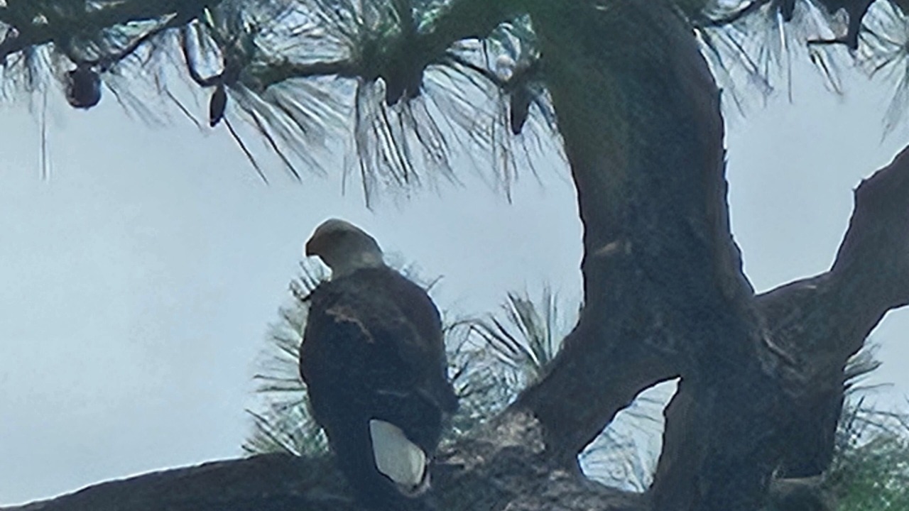 Photo of Others in Palm City