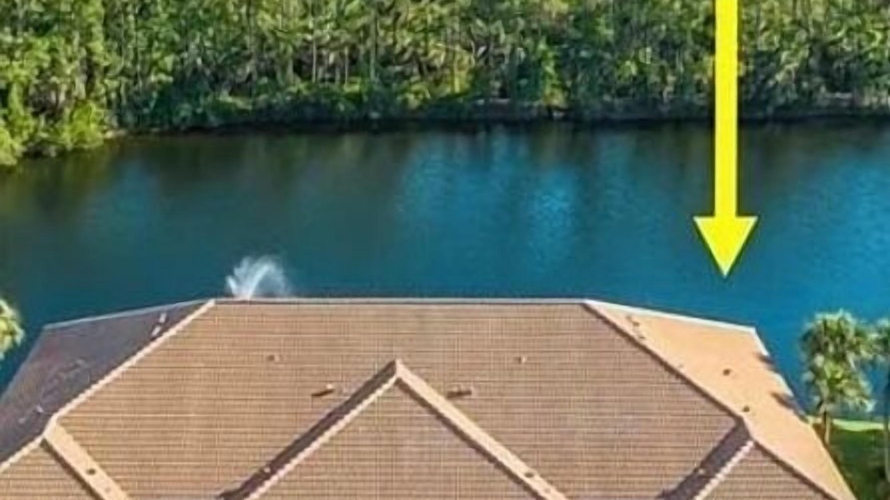 Photo of Outdoor in Imperial Golf Estates
