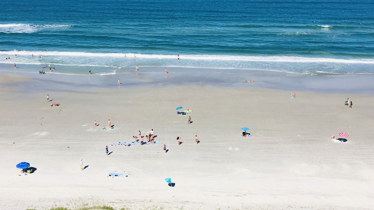 Photo of Others in Jacksonville