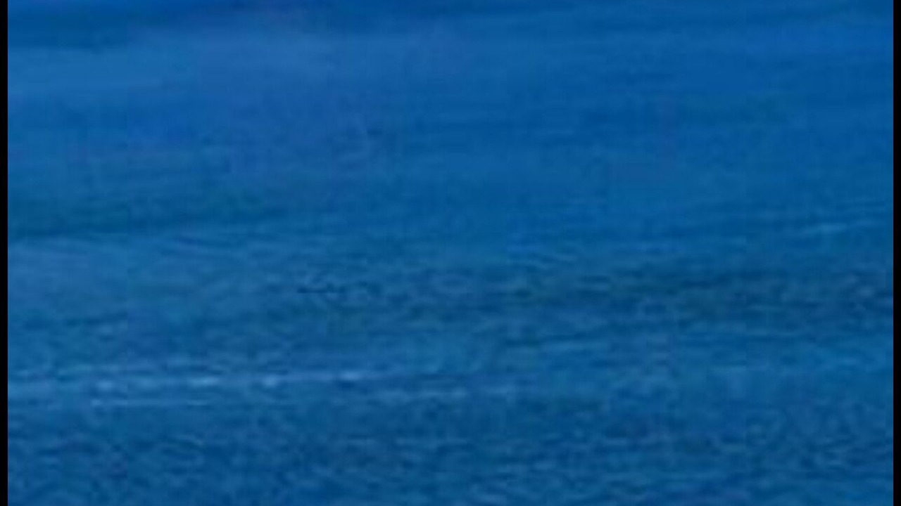 Photo of Others in Cortez