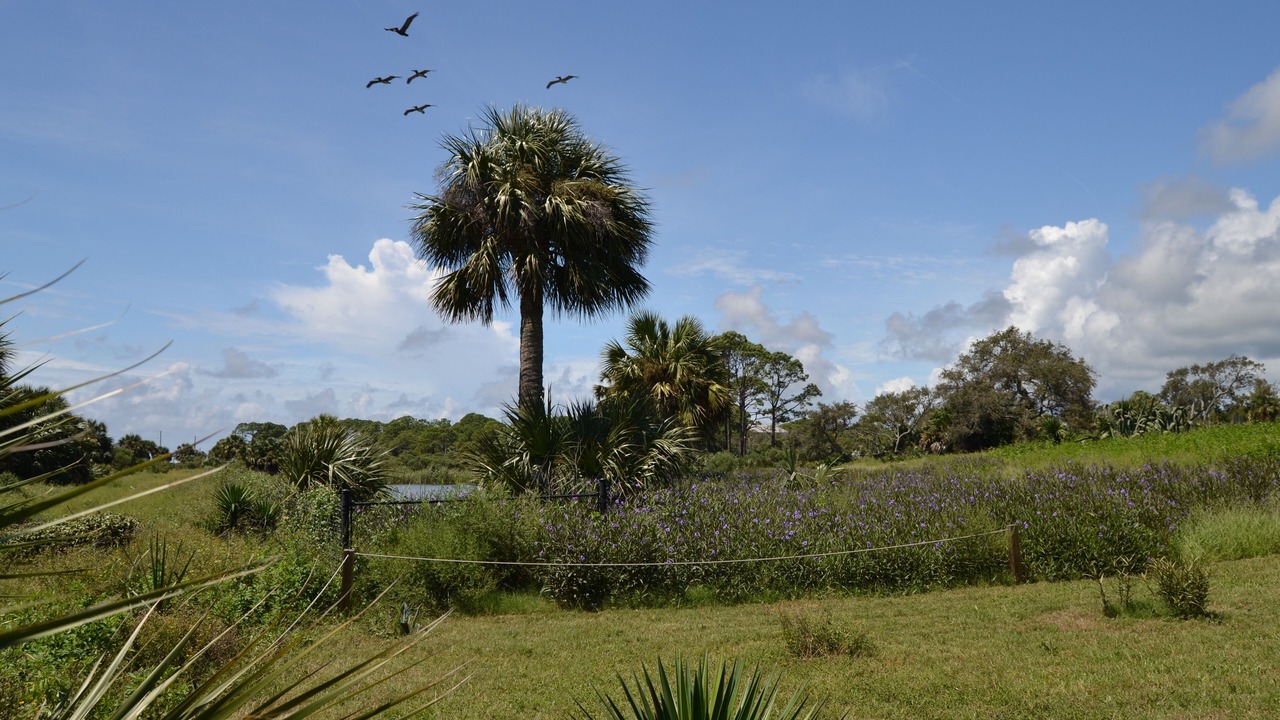 Photo of Others in Alligator Point