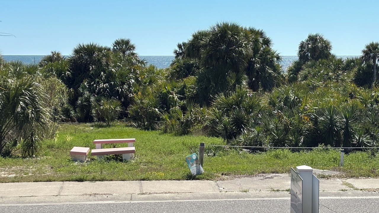 Photo of Others in Alligator Point
