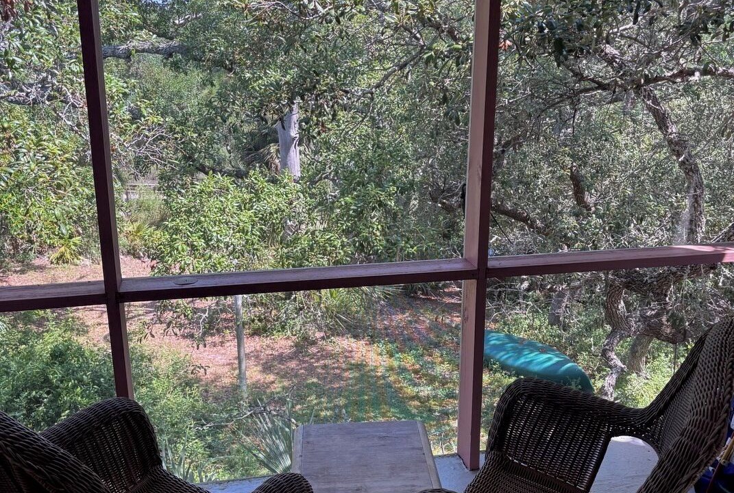 Photo of Outdoor in Alligator Point