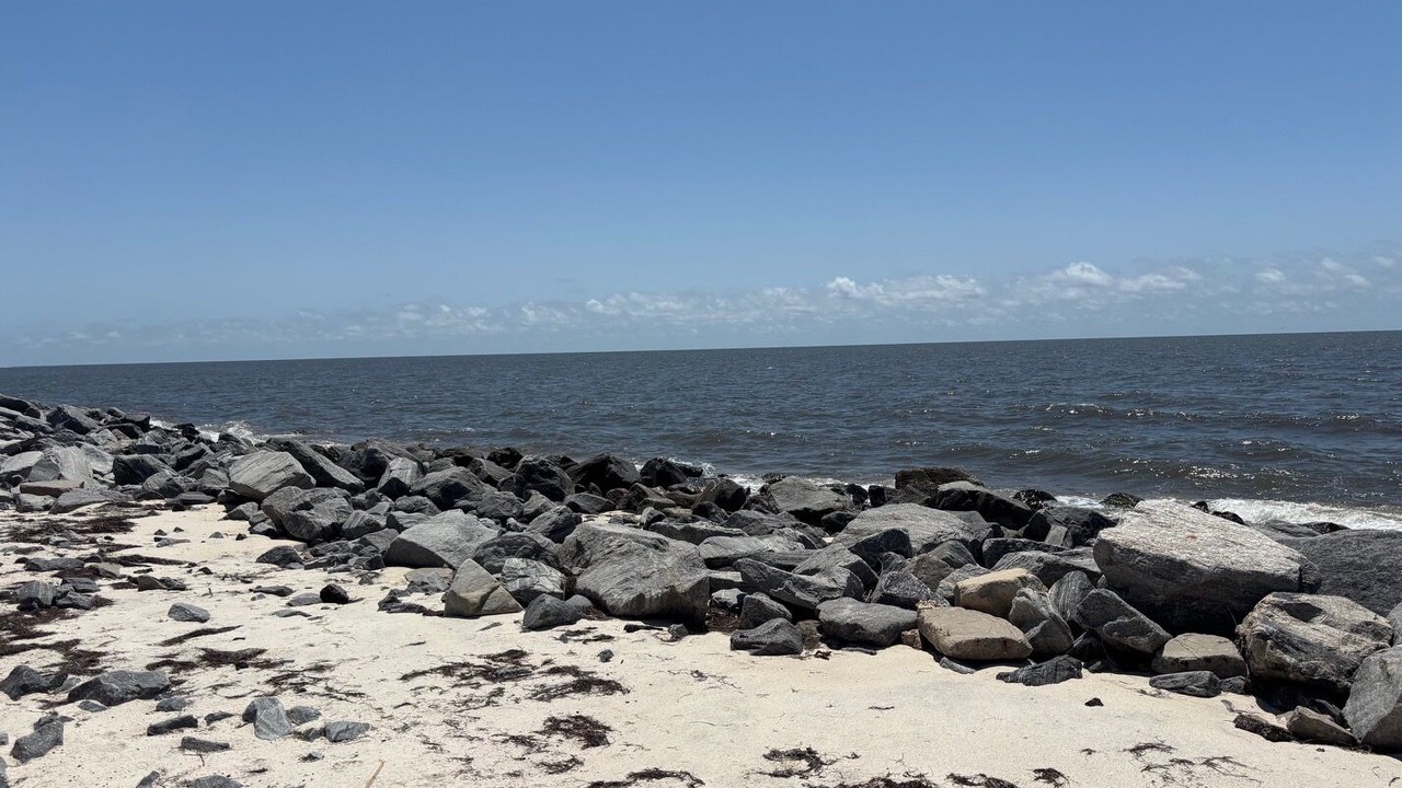 Photo of Others in Alligator Point