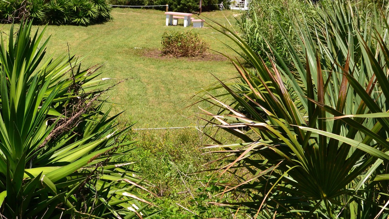 Photo of Outdoor in Alligator Point
