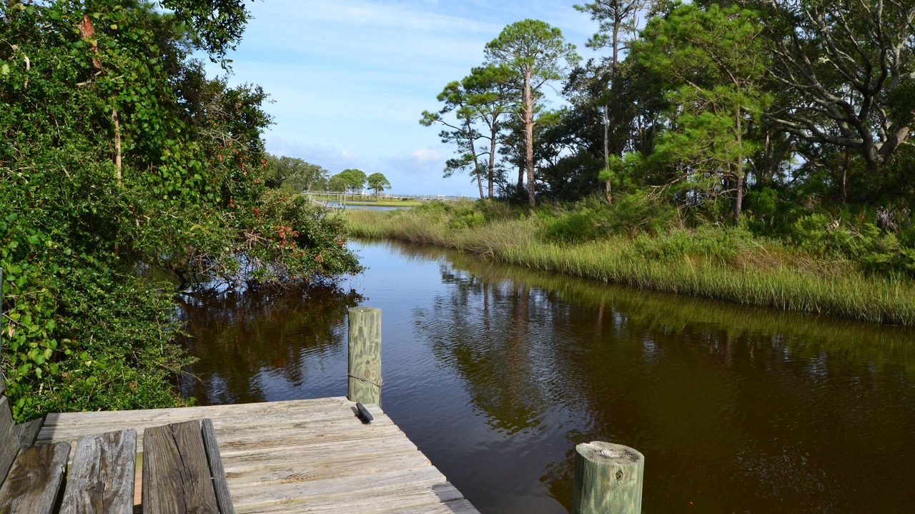 Photo of Others in Alligator Point