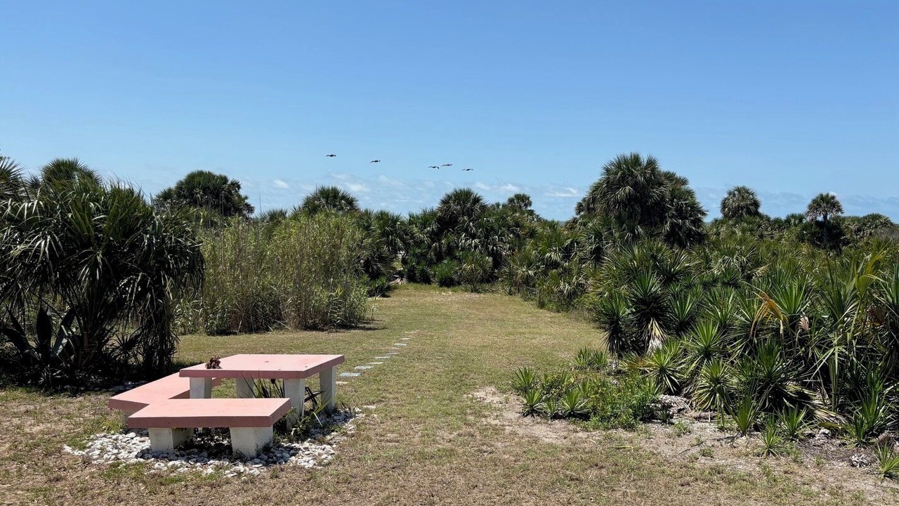 Photo of Others in Alligator Point